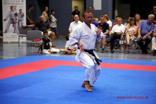 seibukan_3_Int_Karate_Sommercamp_Ravensburg_2015_103.jpg