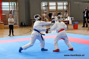 seibukan_Askoe_Landesmeisterschaft_Linz_Auhof_2011_074.jpg