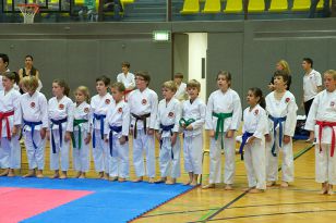 seibukan_Askoe_OOEKarate_Landesmeisterschaft_2013_007.jpg