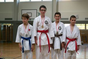 seibukan_Askoe_OOEKarate_Landesmeisterschaft_2013_075.jpg