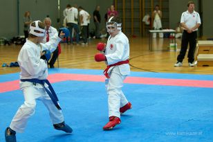 seibukan_Askoe_OOEKarate_Landesmeisterschaft_2013_149.jpg