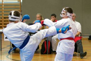 seibukan_Askoe_OOEKarate_Landesmeisterschaft_2013_174.jpg