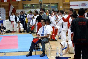 seibukan_Austrian_Junior_Open_2010_013.jpg