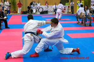 seibukan_Austrian_Junior_Open_2011_089.jpg