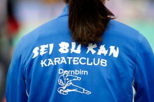 seibukan_Austrian_Karate_Champions_Cup_2010_040.jpg