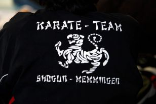 seibukan_Austrian_Karate_Champions_Cup_2010_101.jpg