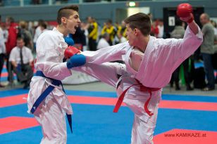 seibukan_Austrian_Karate_Championscup_2015_147.jpg