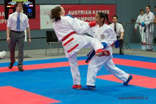 seibukan_Austrian_Karate_Championscup_2015_150.jpg