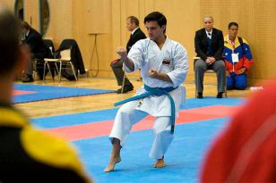 seibukan_Austrian_Open_Golden_League_2009_008.jpg