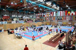 seibukan_Austrian_Open_Golden_League_2009_023.jpg