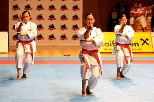 seibukan_Austrian_Open_Golden_League_2009_036.jpg