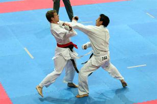 seibukan_ESKA_Shotokan_Europameisterschaft_in_Wels_2009_042.jpg