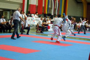 seibukan_Goju_Ryu_EM_Heilbronn_2014_028.jpg