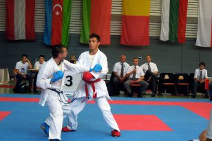 seibukan_Goju_Ryu_EM_Heilbronn_2014_055.jpg