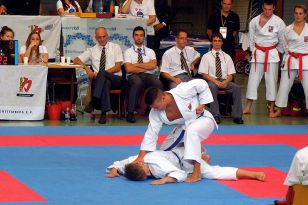 seibukan_Goju_Ryu_EM_Heilbronn_2014_099.jpg