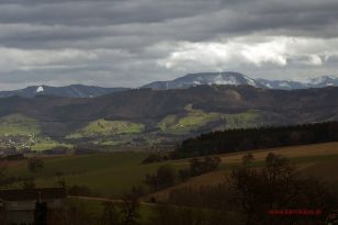 seibukan_Goju_und_Wado_OEM_Brunn_am_Gebirge_2013_000.jpg