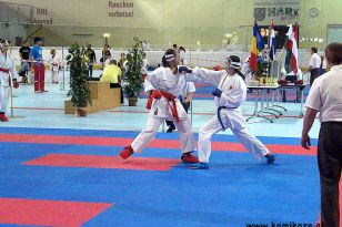 seibukan_Int_Huegelland_Cup_Graz_2011_010.jpg