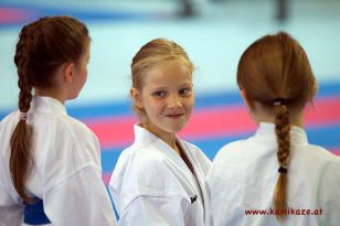 seibukan_Intern_Huegelland_Cup_2012_063.jpg