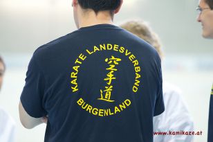 seibukan_Intern_Huegelland_Cup_2012_120.jpg