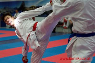 seibukan_Karate1_Premier_League_2016_149.jpg