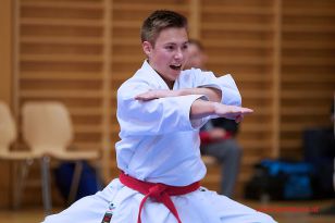 seibukan_Karate1_Premier_League_and_Youth_World Cup_Salzburg_2013_048.jpg