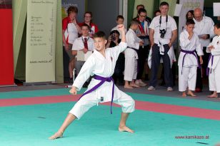 seibukan_Oesterr_Shotokan_Meisterschaft_StGeorgen_2015_094.jpg