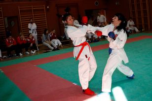 seibukan_Shotokan_Cup_2010_052.jpg