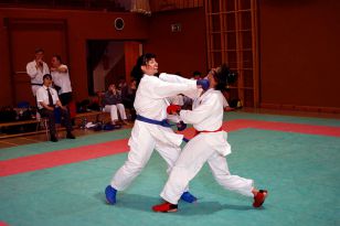 seibukan_Shotokan_Cup_2010_054.jpg