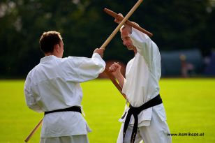 seibukan_Sommercamp_Konstanz_2011_075.jpg