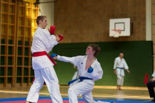 seibukan_Styrian_Open_Fuerstenfeld_2011_025.jpg