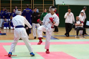 seibukan_Styrian_Open_Fuerstenfeld_2013_066.jpg