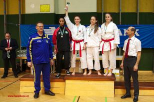 seibukan_Styrian_Open_Fuerstenfeld_2013_091.jpg