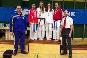 seibukan_Styrian_Open_Fuerstenfeld_2013_098.jpg