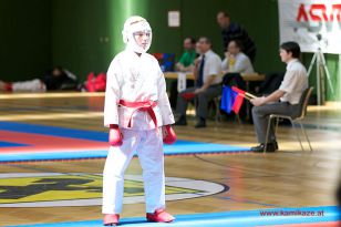 seibukan_Styrian_Open_Fuerstenfeld_2014_009.jpg