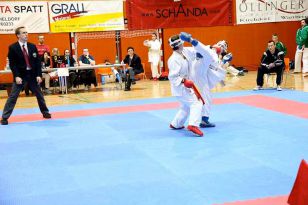 seibukan_VIII_Oesterr_Goju_Ryu_Wado_Ryu_Meisterschaft_2010_029.jpg