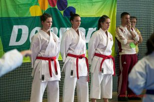 seibukan_WADO_KAI_Europameisterschaft_2012_055.jpg