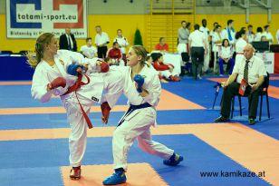 seibukan_Wado_Kai_EM_in_Budapest_2013_066.jpg