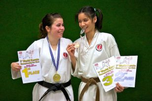 seibukan_World_Karate_Championship_for_Clubs_2010_001.jpg