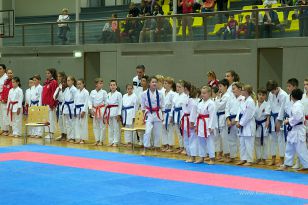 seibukan_Askoe_OOEKarate_Landesmeisterschaft_2013_006.jpg