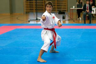 seibukan_Askoe_OOEKarate_Landesmeisterschaft_2013_126.jpg