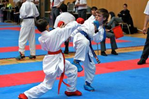 seibukan_Austrian_Junior_Open_2009_027.jpg