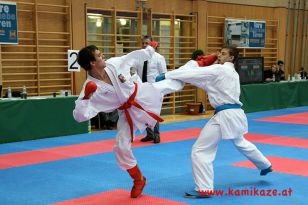 seibukan_Austrian_Junior_Open_2011_107.jpg