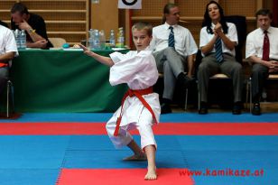 seibukan_Austrian_Junior_Open_2011_125.jpg