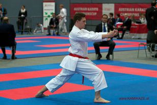 seibukan_Austrian_Karate_Championscup_2015_050.jpg