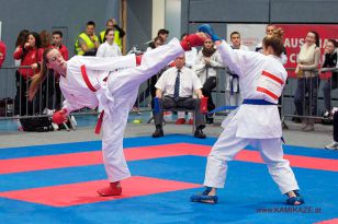 seibukan_Austrian_Karate_Championscup_2015_151.jpg