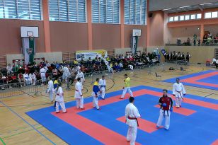 seibukan_EGKF_Senior_Goju_Ryu_Championships_2013_005.jpg