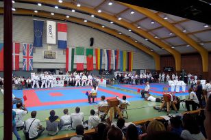 seibukan_Goju_Ryu_EM_Heilbronn_2014_035.jpg