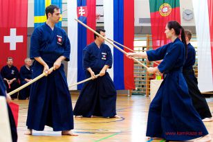 seibukan_JODO_Europameiserschaft_in_Linz_2013_047.jpg