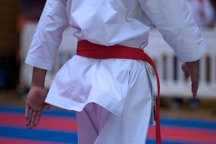 seibukan_Karate1_Premier_League_and_Youth_World Cup_Salzburg_2013_052.jpg