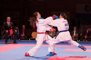 seibukan_Karate1_Premier_League_and_Youth_World Cup_Salzburg_2013_096.jpg